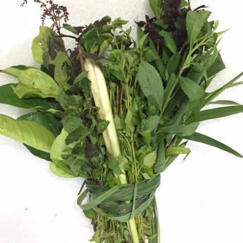 lá xông tươi giải cam