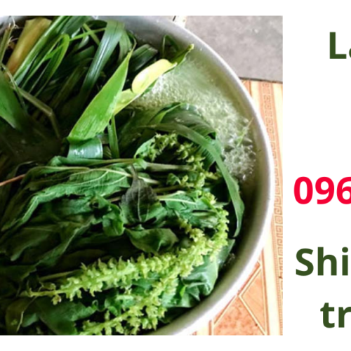 Lá xông tươi sạch