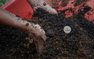 Hình ảnh đạm cá cải tạo lại đất Hình ảnh đạm cá cải tạo lại đất