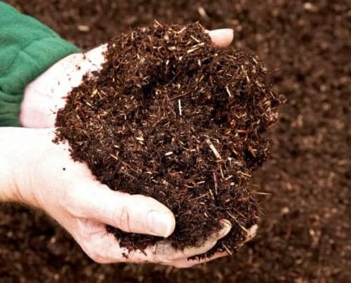 phan huu co cai tao dat set e1629041905961