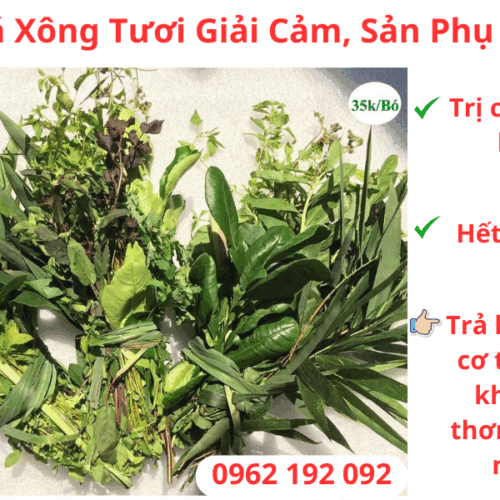 480693155 1184608170335490 2971897675489521622 n